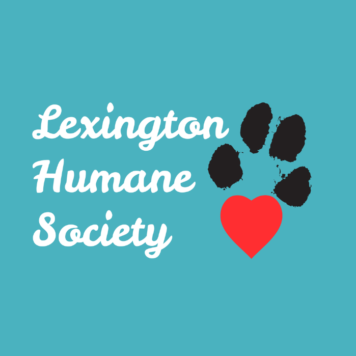 lhs small logo.png