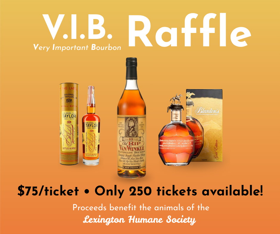 VIB raffle 2.png